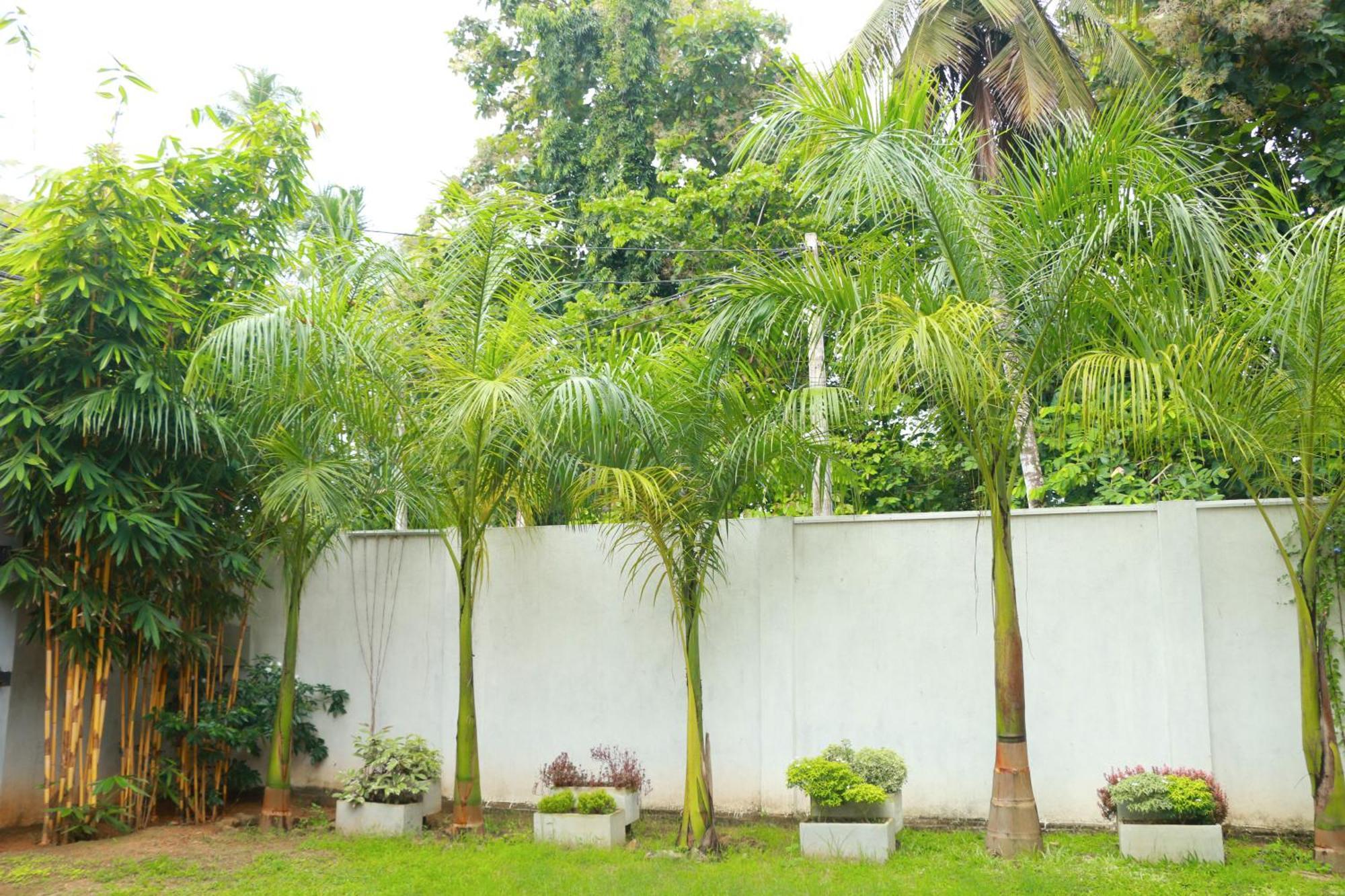 Venus Heaven Luxurious Villa Tangalle Luaran gambar