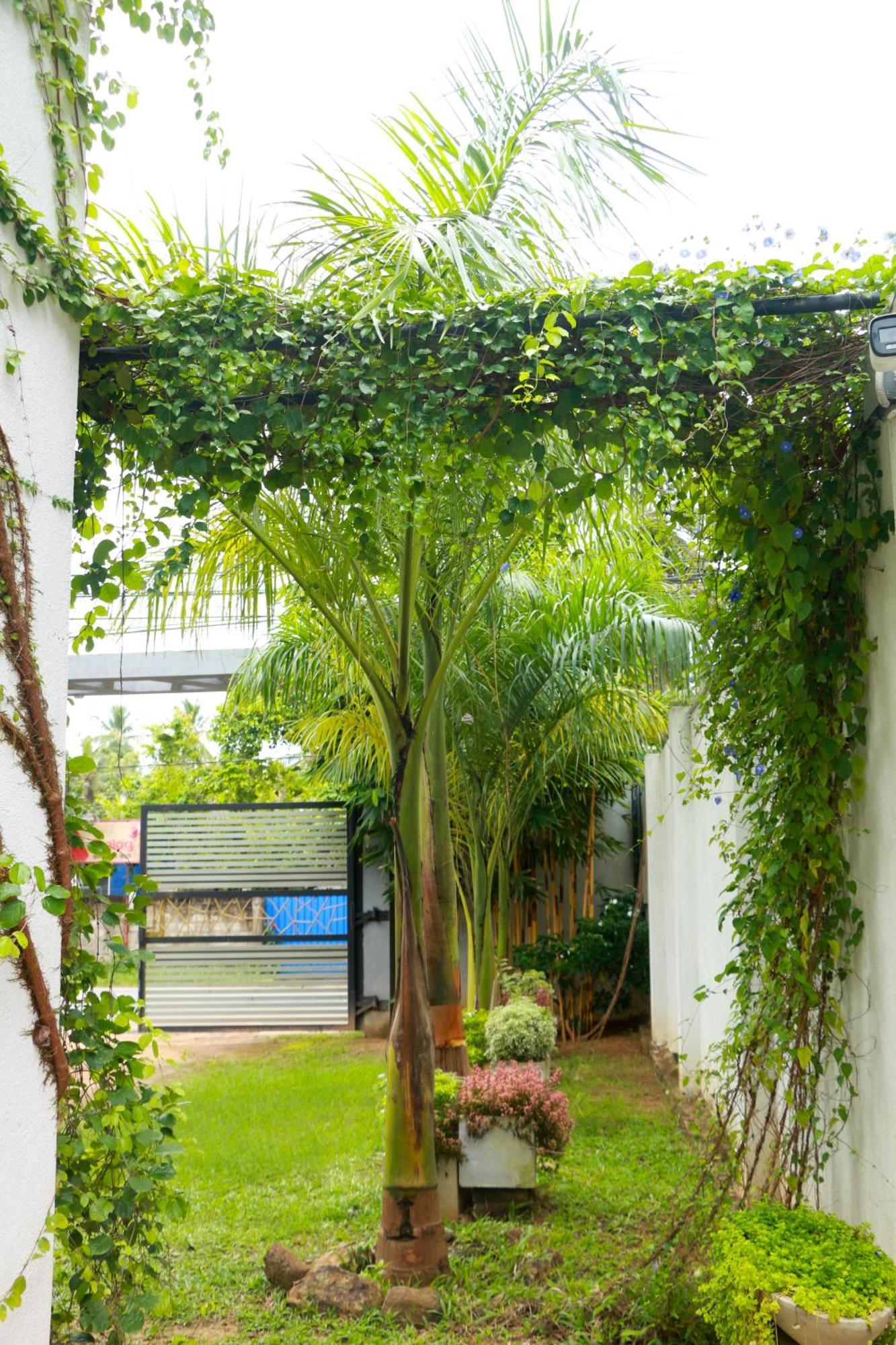 Venus Heaven Luxurious Villa Tangalle Luaran gambar